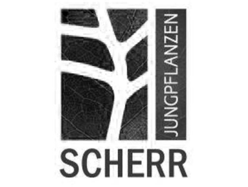 Scherr