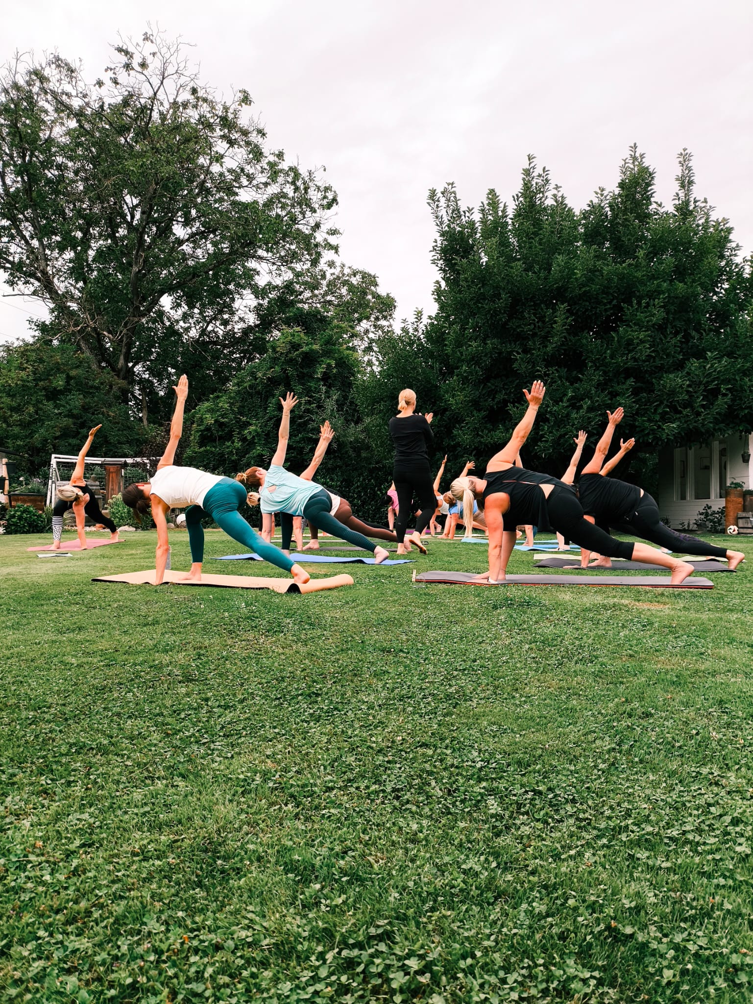 ce255733-c6dc-4c58-84d5-2755ce8c6d3b