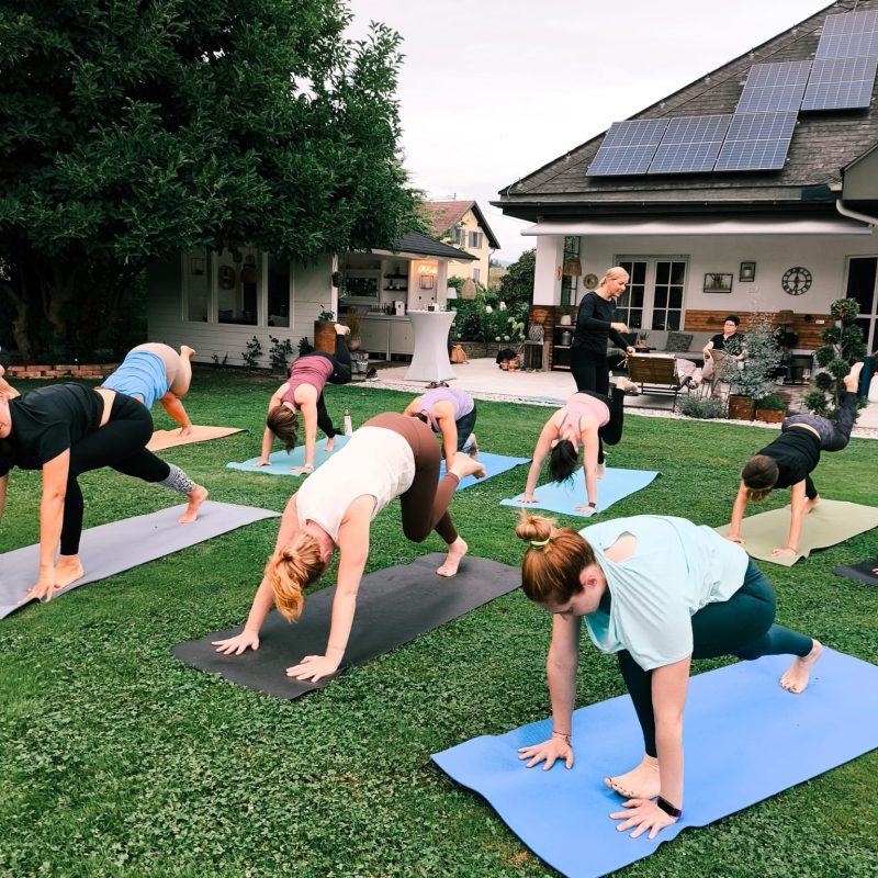 0b29e6e1-3049-4788-9c2e-bcec43c8e903