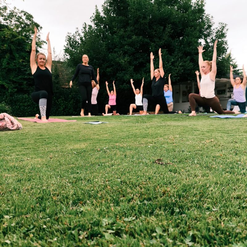 21a559e5-bf02-4d0a-bcae-cd46d969eaa8